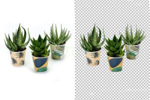 Background Remove