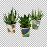 Background-removal
