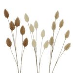 Clipping Path