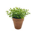 Clipping Path